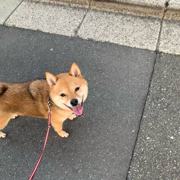 A9ab1a63 50ca 4349 8688 6771f840b017 1774074358691