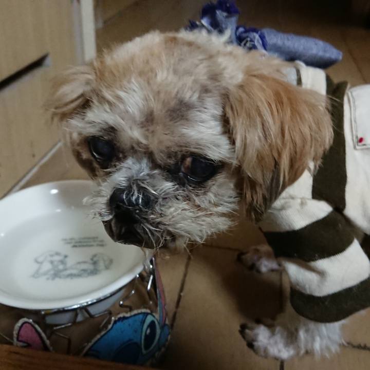 A9ab3139 21be 4540 878e 0cf5397da89f 1682079130686