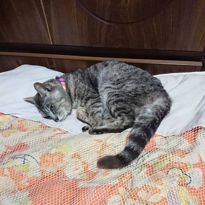 A9ab6c48 19f4 44f1 b57c c4a8b66d7626 1591878947597