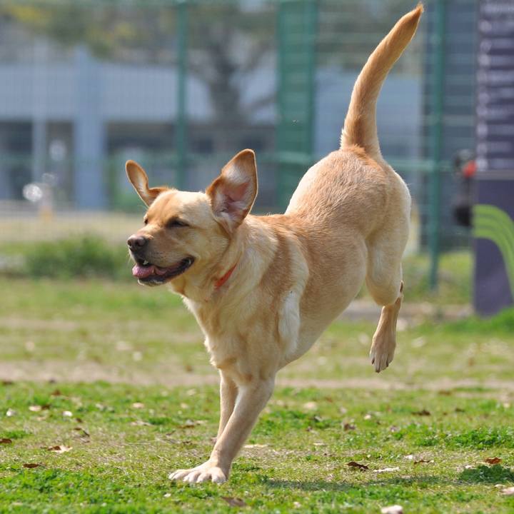 A9ab728e 4279 4468 b955 40cc5b29367f 1522061784964