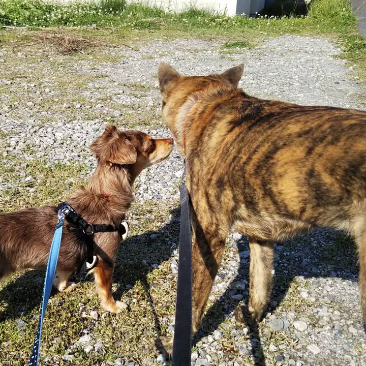 A9ab8abb 7b4f 4d3e ba41 9286642b2cce 1525478384216