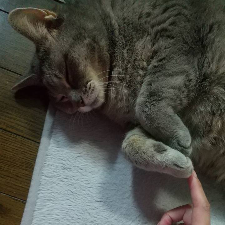 A9ab9237 3ea7 406e a88b a5e07a43d726 1635435256627