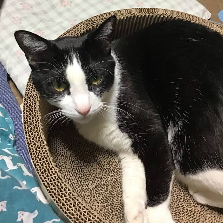 A9abafba cbcf 4948 89ce 49a3302f7d6b 1743943842781