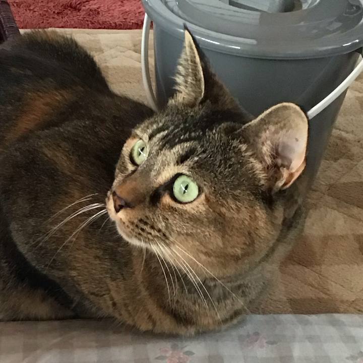 A9ac26c9 b76e 426d bab0 6215d5fec501 1729464338921