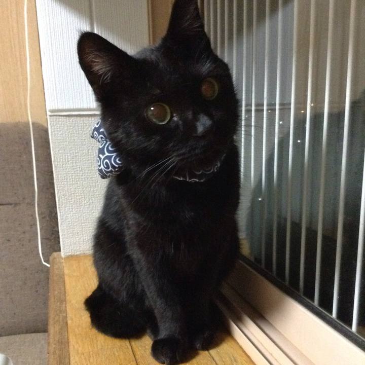 A9acf63c df97 4b17 97d5 1503b6488a2e 1536151384761