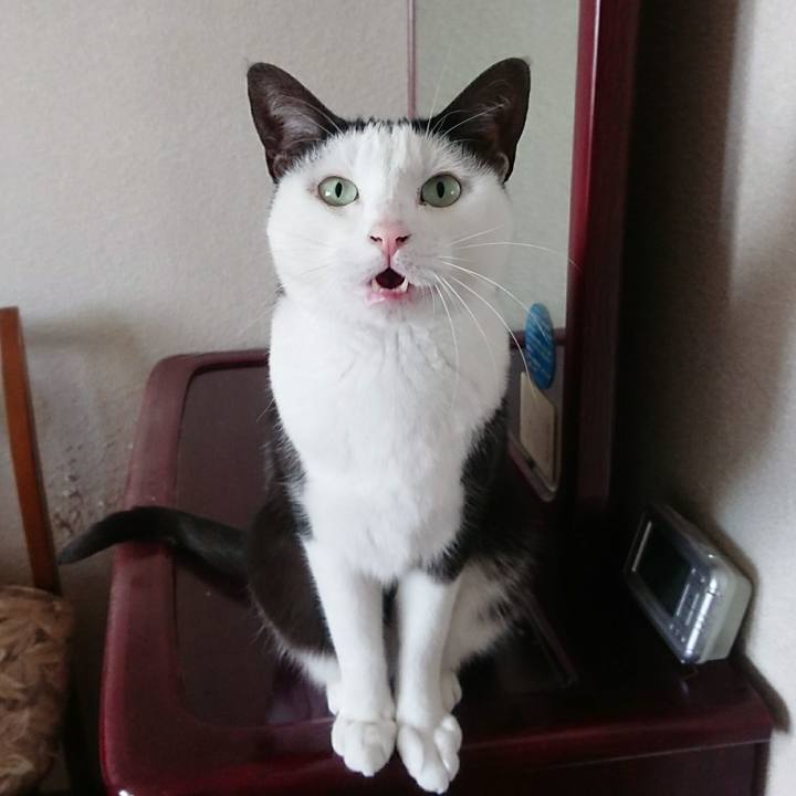 A9ada9ab 9c42 4357 aa66 5452e02370ab 1511259615828