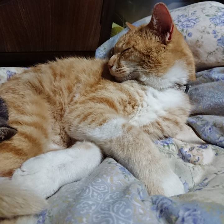 A9adab7f ee88 4007 8bc1 5cd2eb6c78b9 1590239292839