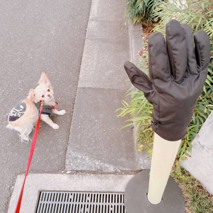 A9adde5b 08da 47ee 9996 33b2e5ca5eff 1669969858726