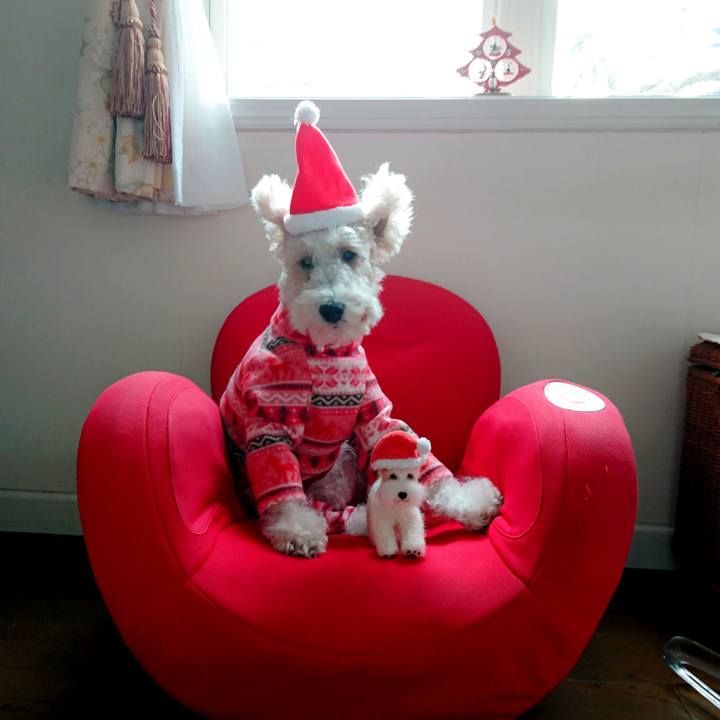 A9addfe0 5f2f 4b2e b359 0d65a6a5445a 1513557677956