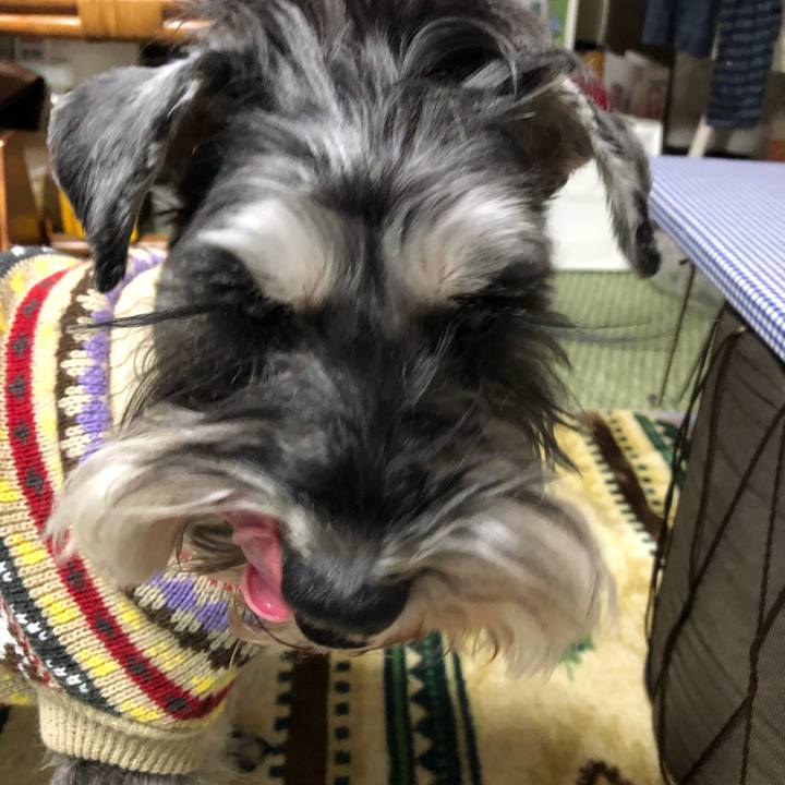 A9ae0b2d ca36 4ae8 a3d4 2f78ac608085 1613788574011