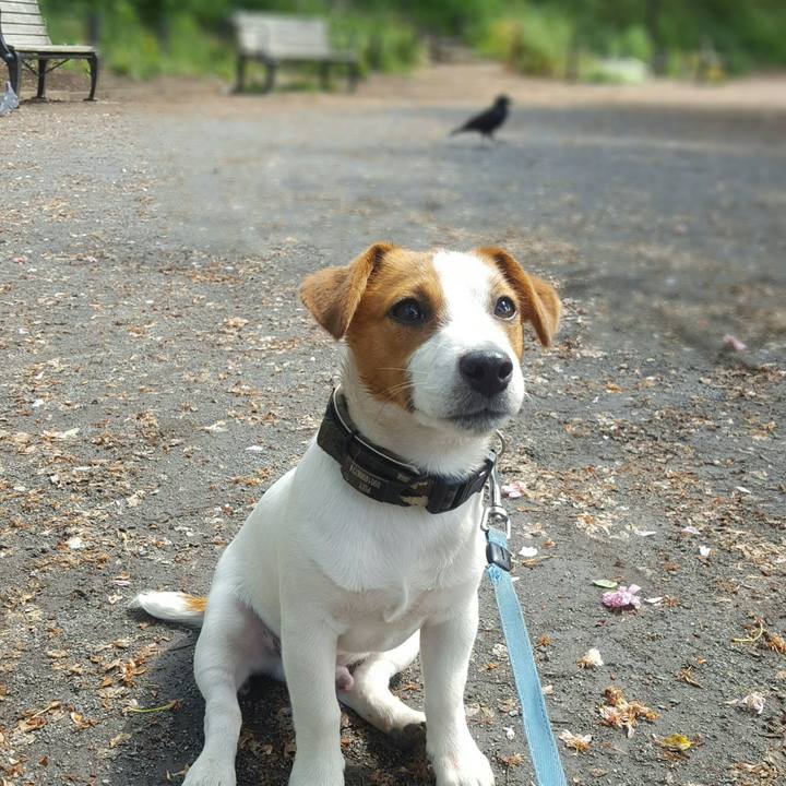 A9ae518d e4db 4950 ab14 86b572ecc75f 1556932980429