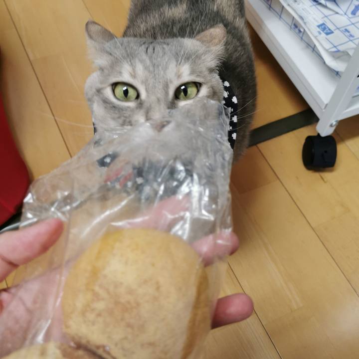 A9ae5659 6c8d 48d3 9494 e550a4c12dac 1676608622719