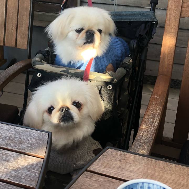 A9ae776a 2176 4bd4 801a 0c4ca757bd4e 1542153060060