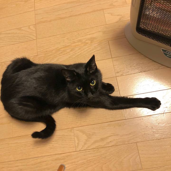 A9ae7a76 2d34 4b27 aa95 2255d09c9d2a 1544351291529