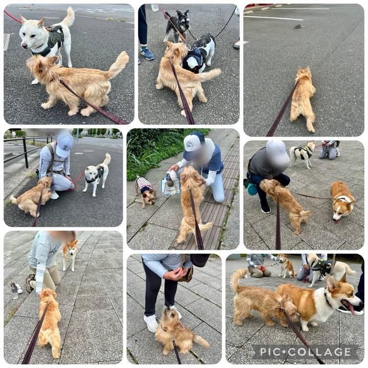 A9aead37 6072 49b0 a3d4 89eb1bfee85d 1727748553420