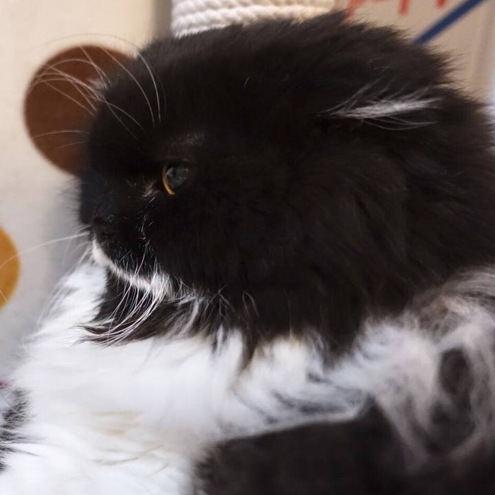 A9aed02a 12f1 4d82 b8ed 2d6d58cc2341 1534591083097