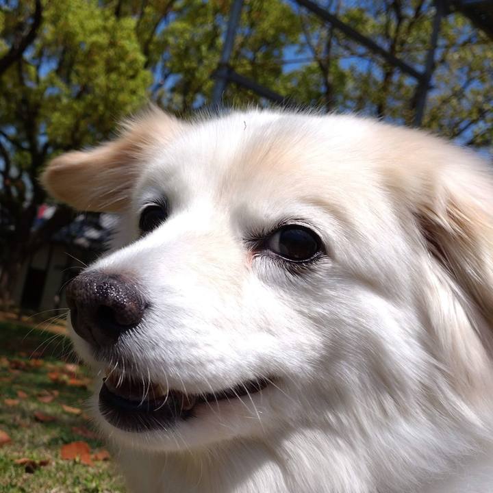 A9af1670 3672 425c ba48 02db0321630c 1650236134488