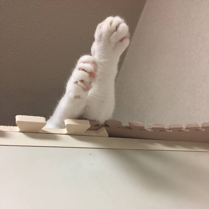 A9af6574 47e0 4589 9667 e0eb7a11d603 1531054310792