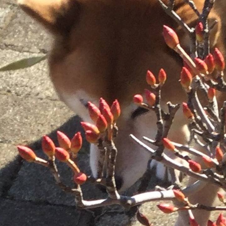 A9af66c0 6bb8 4ea4 9377 1f75e422b22d 1579497646810