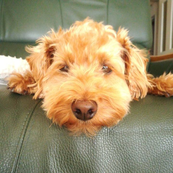 A9afb36b 3762 41a4 991a 70858f589eee 1530936772392