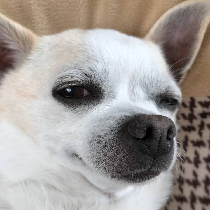 A9afdcd0 d7d3 4cc4 b74d 854e193a68d5 1516103781685