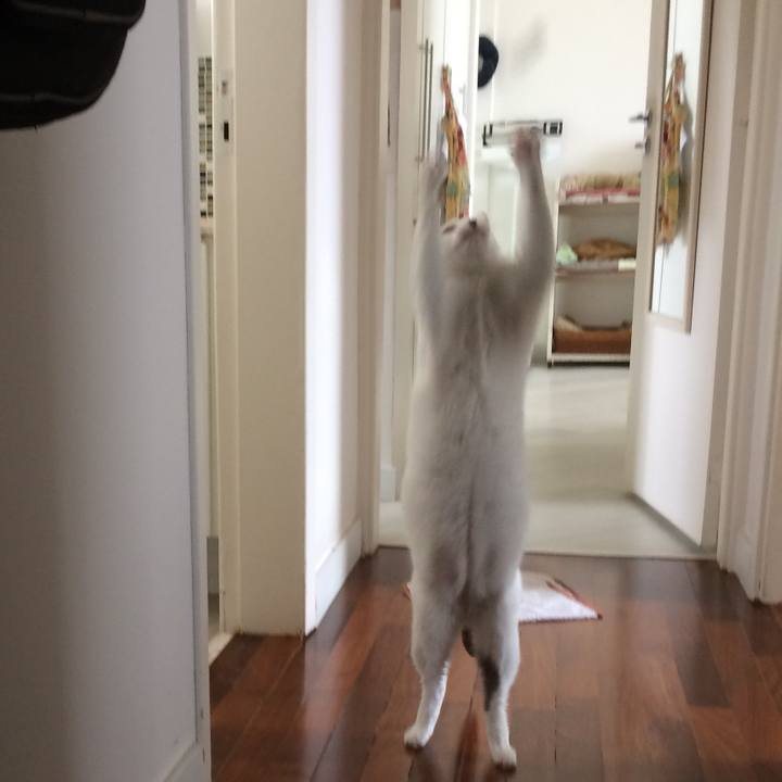 A9b01c9f e302 4217 aac4 524f3d5d044a 1519396538915