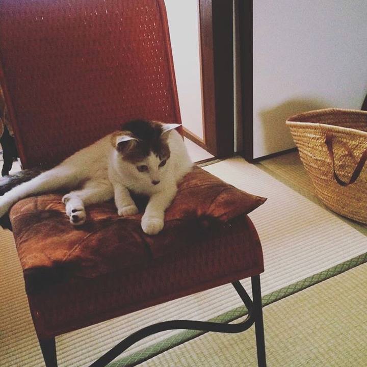 A9b0206a 25df 4654 861a ffcc54c2fc31 1536059794025