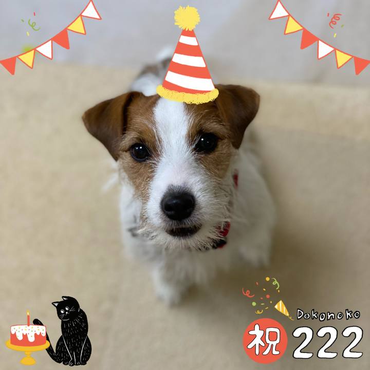 A9b04456 3979 4276 9912 de019262e29d 1645514504240