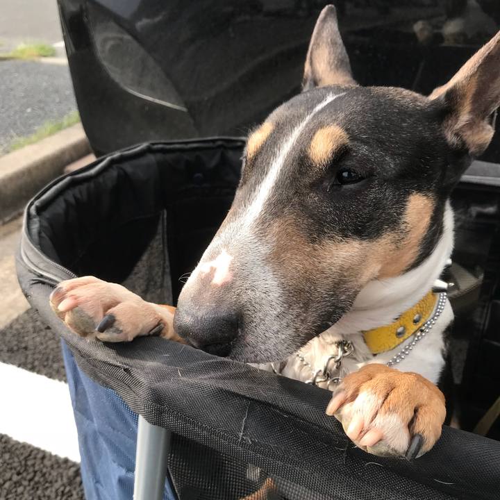 A9b05ee5 ac68 4020 87e0 1d161fc5e106 1523755366247