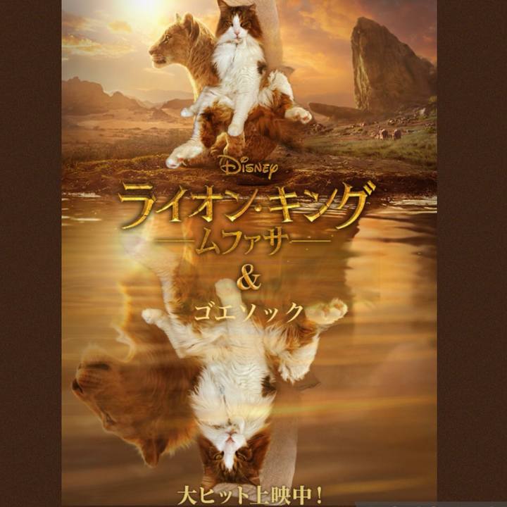 A9b0b8a3 dc35 45ef b170 df09a79c9dcd 1734954601571