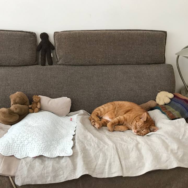 A9b10c52 a1f2 44c8 9643 31594d95e8ab 1520845287752