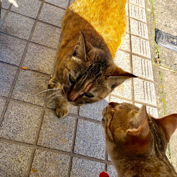 A9b12701 440d 4ced 9a57 36eb61a3c400 1584146046398