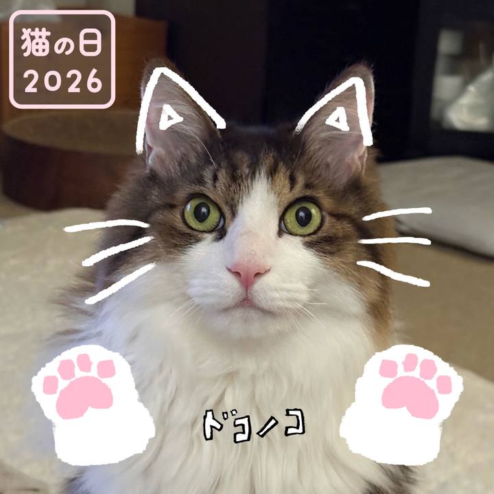 A9b12e62 e295 4e09 be60 97917005b80b 1771722601328