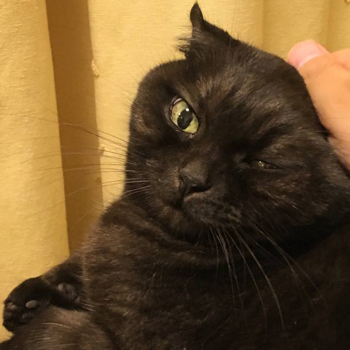 A9b145dc 6e3b 4963 ae5f c167938d10c8 1510840721914