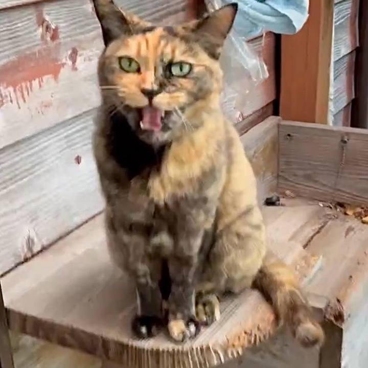 A9b14ce5 56cc 4bf8 bfe7 65c045cb9eb1 1749265256891