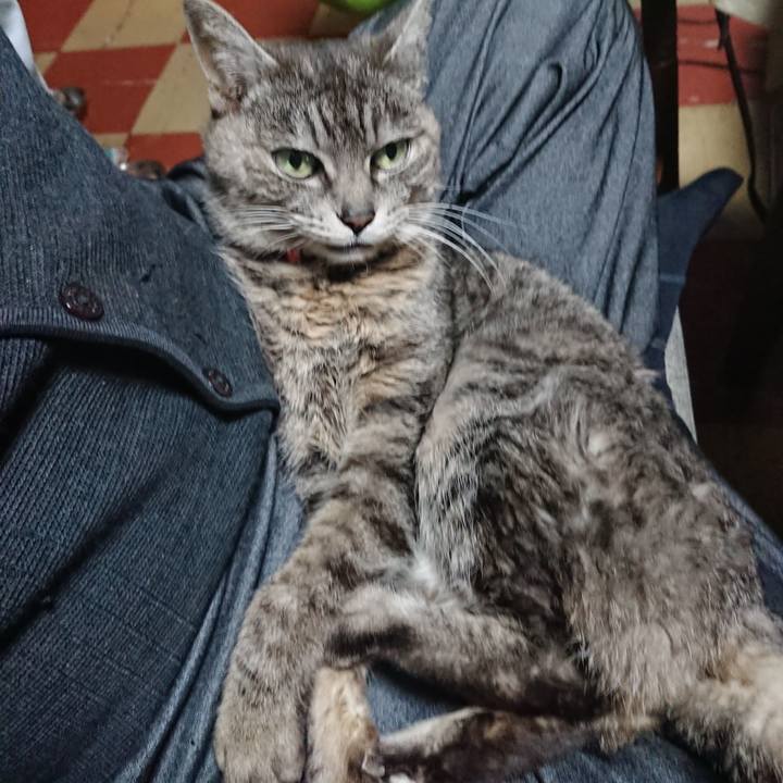 A9b1603f cd7e 4a5b 8ba6 c2b3294fcfc0 1583833127998