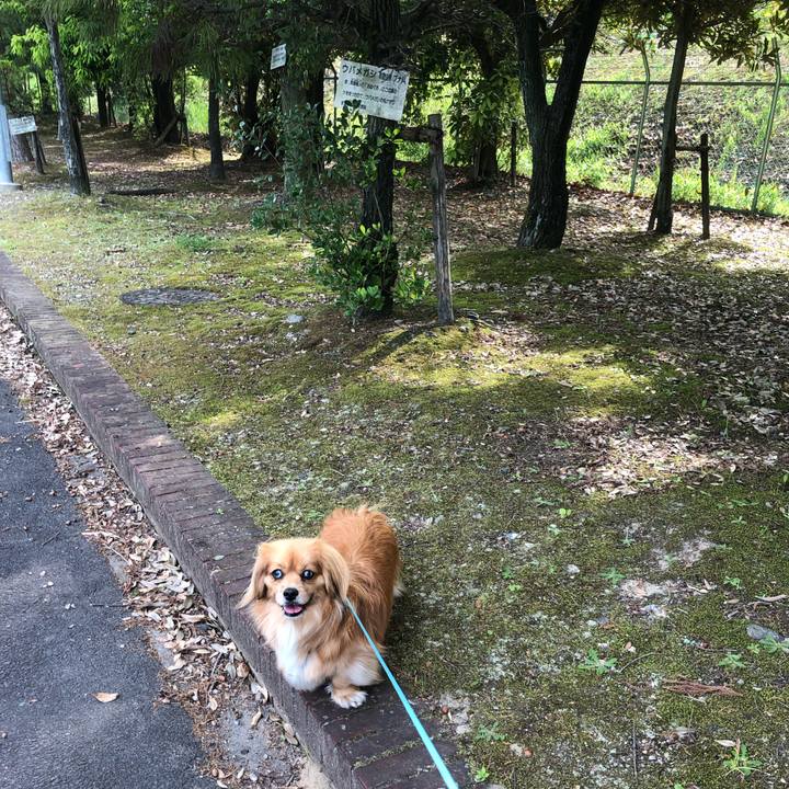 A9b18ef8 0666 4f58 a1f4 52599bb0ae14 1558827960936