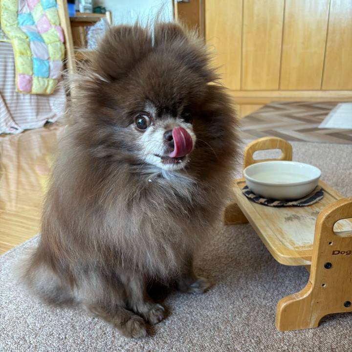 A9b1b5d8 4ff6 4aca bfe8 e4aecf6b0594 1748747184678