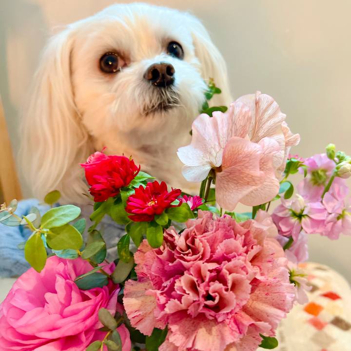 A9b20346 ff75 45b1 8bae 108491fbd0bb 1676632695278