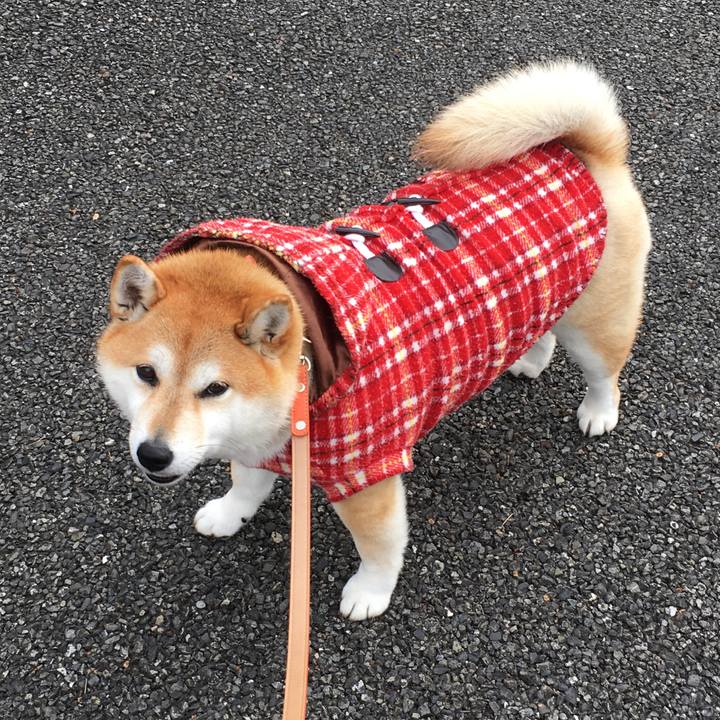 A9b20b28 f9db 449a b0b0 f14f4a34cd96 1576216603303