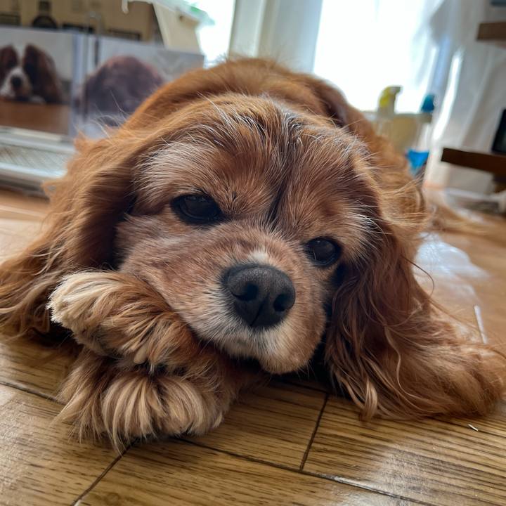 A9b22c92 d230 4c0b 964e e0e8a7fe7336 1771376912086