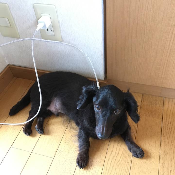 A9b23e8f e18d 4082 ba0c 441fa675eabe 1527900665345