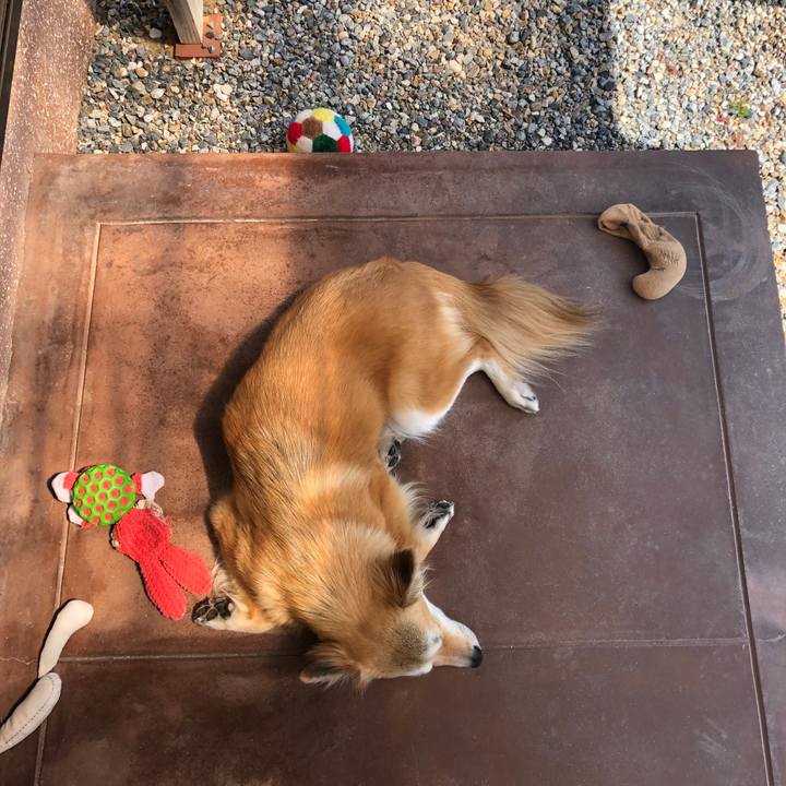 A9b23f7a 413a 4f05 8365 47aabf2650e5 1555634359910