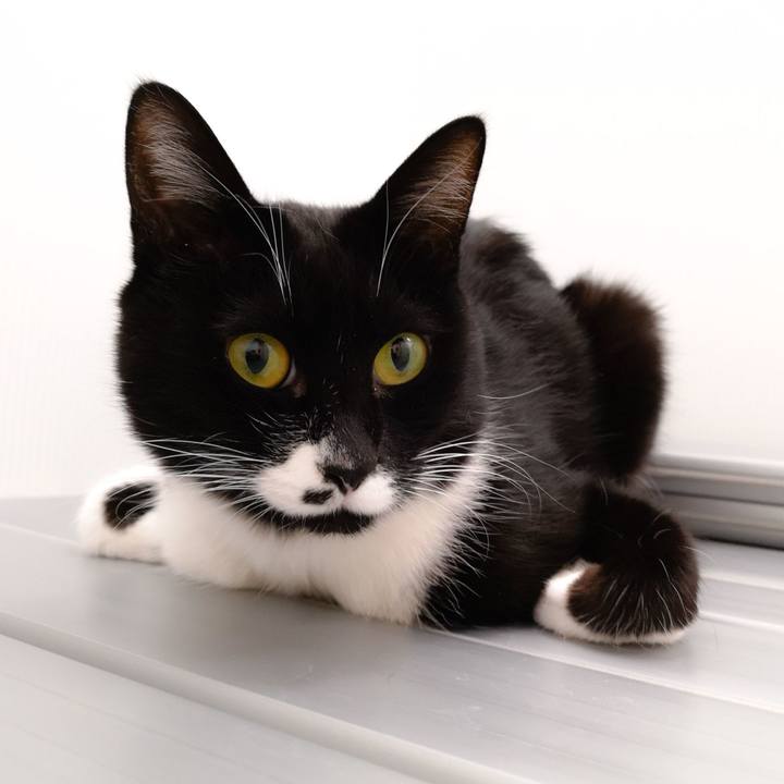 A9b24a26 daba 4b78 b82e ec5e8291df3f 1549067404814