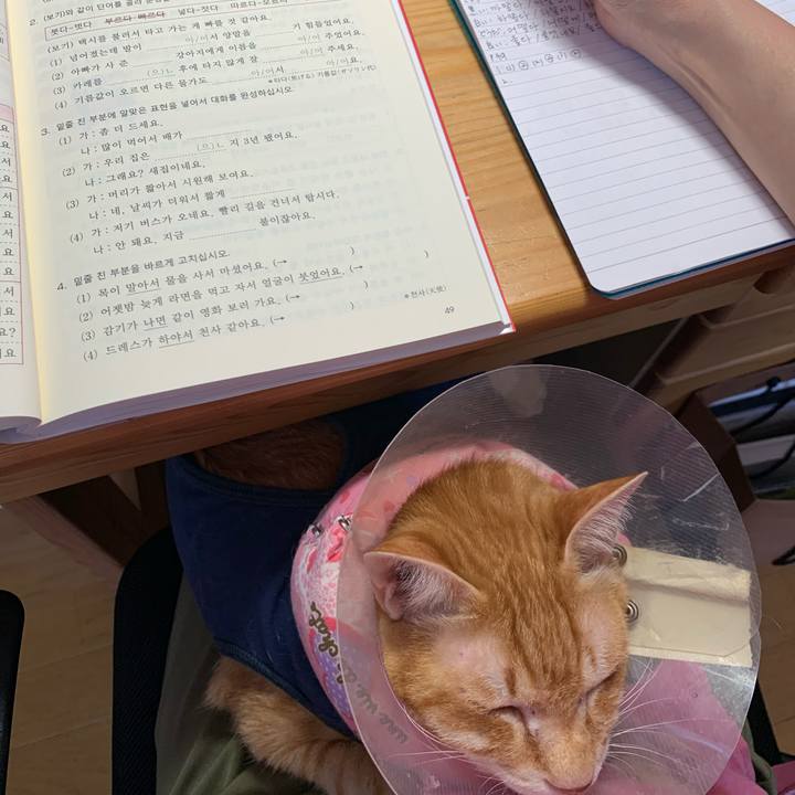 A9b2db0a eb42 489f a11f aa242fd7cf62 1620538658191