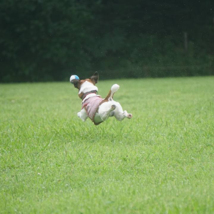 A9b2e8f8 59d1 491b a76b 973fb82ad46b 1563923720570