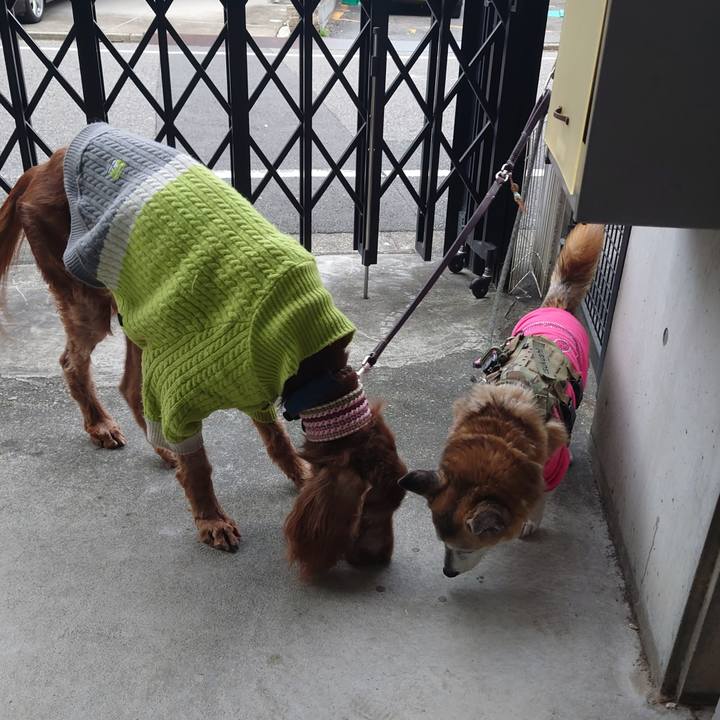 A9b2ea8b d512 44f2 9e07 3641b49c8ee2 1702982797951