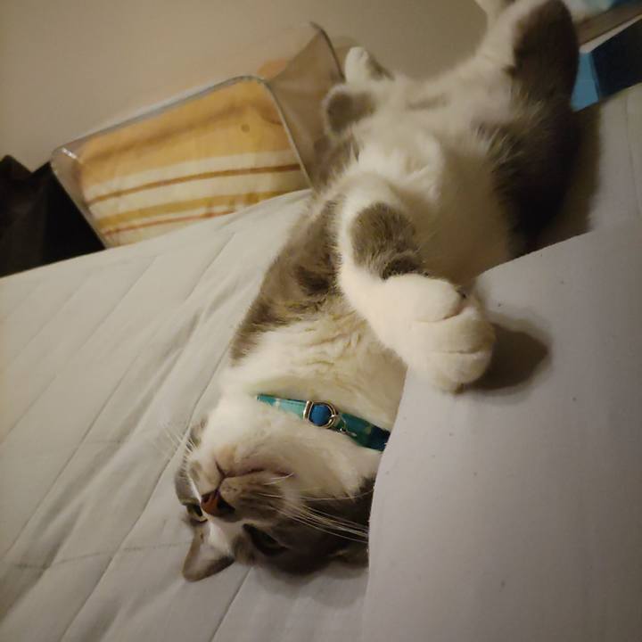 A9b2fc16 720e 4824 a545 3f4dde463c74 1659271459191