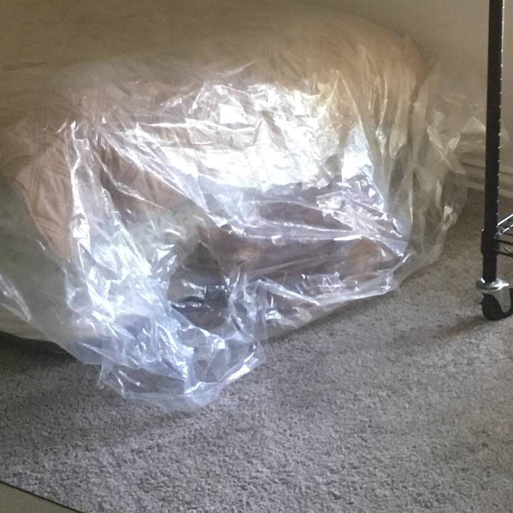 A9b3487b 5f21 41e6 bd26 d41ad1192167 1660265422947