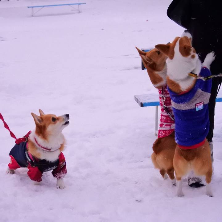 A9b35a92 d86c 4d3a b57f 216520f73d09 1609587406509